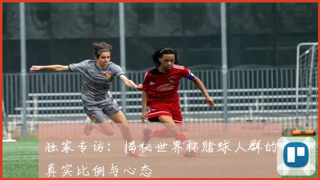 独家专访：揭秘世界杯赌球人群的真实比例与心态