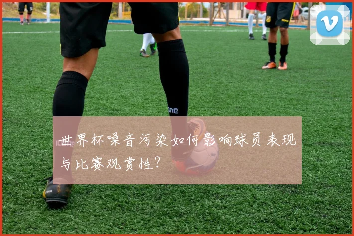 世界杯噪音污染如何影响球员表现与比赛观赏性？